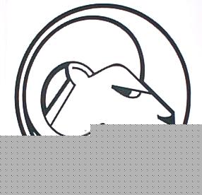 Mouflon.jpg (16005 octets)
